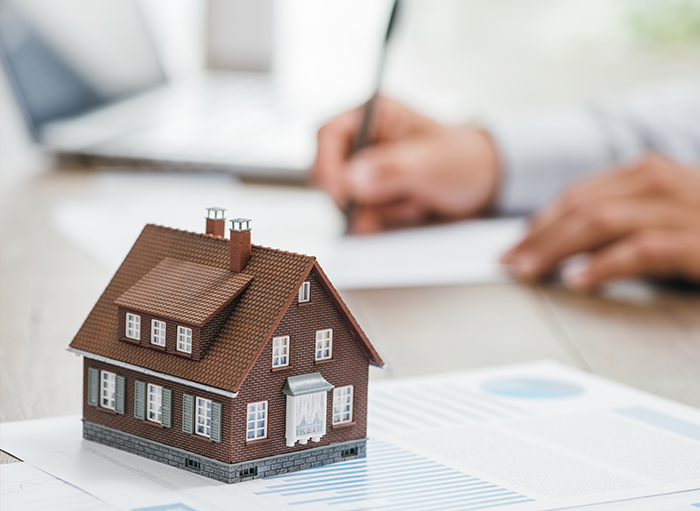 Asset Identification and Valuation